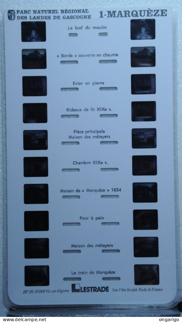 LESTRADE :   1-MARQUÈZE   PARC NATUREL RÉGIONAL DES LANDES DE GASCOGNE - Stereoscopes - Side-by-side Viewers