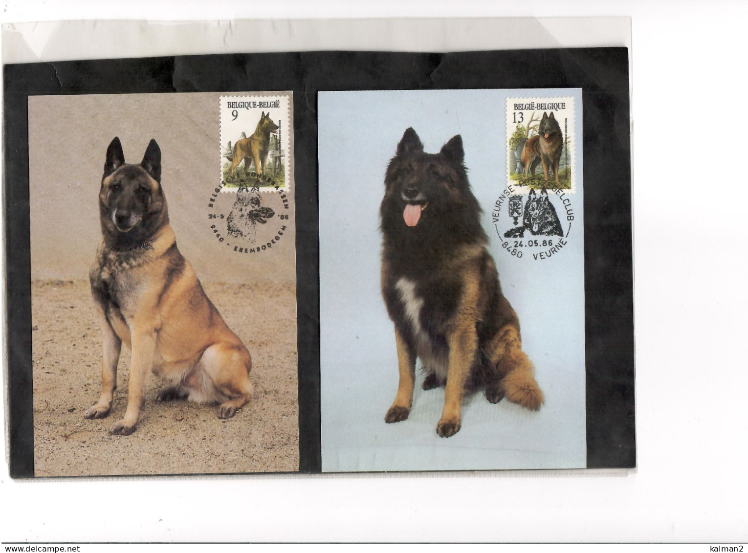 TEM19924 - FDC   24.5.1986  - RAZZE CANINE BELGHE    -CAT.UNIFICATO 2213/2216 - MICHEL  2265/2268 - Honden