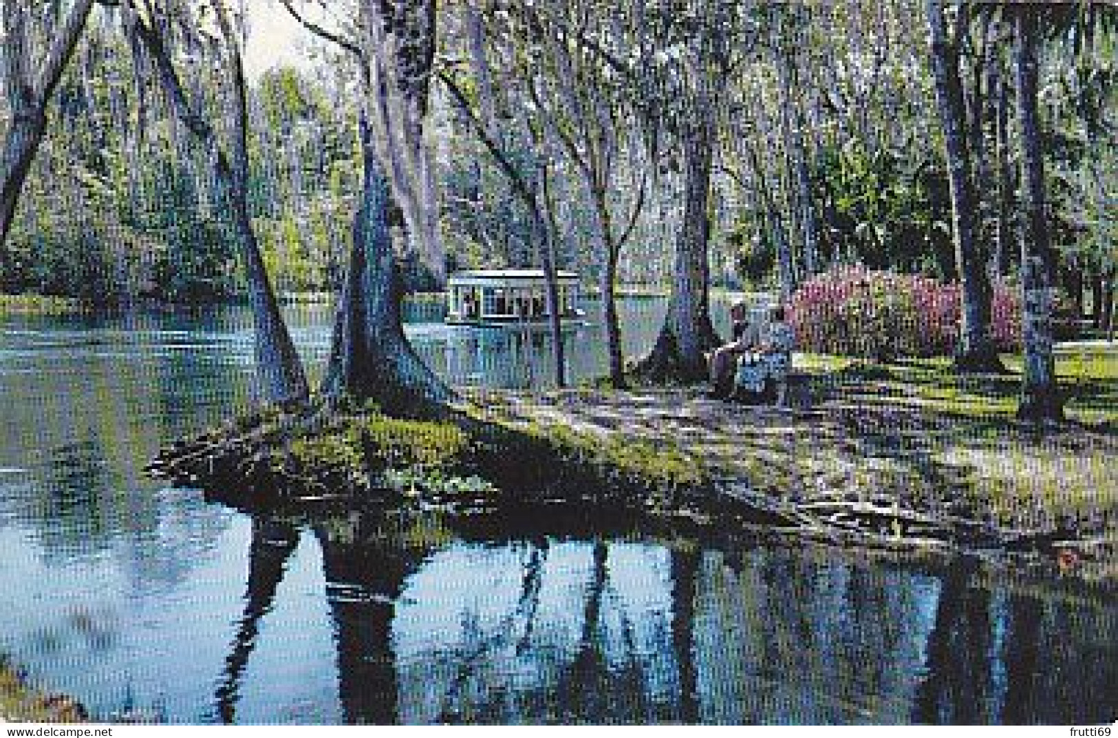 AK 209401 USA - Florida - Silver Springs - Along Silver River - Silver Springs