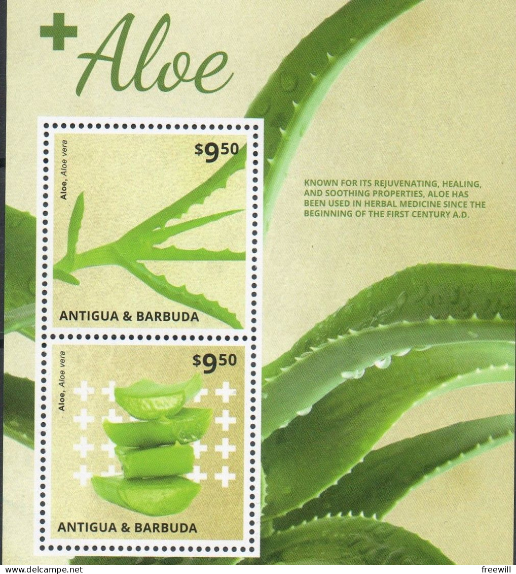 Aloe XXX 2015 - Antigua Et Barbuda (1981-...)