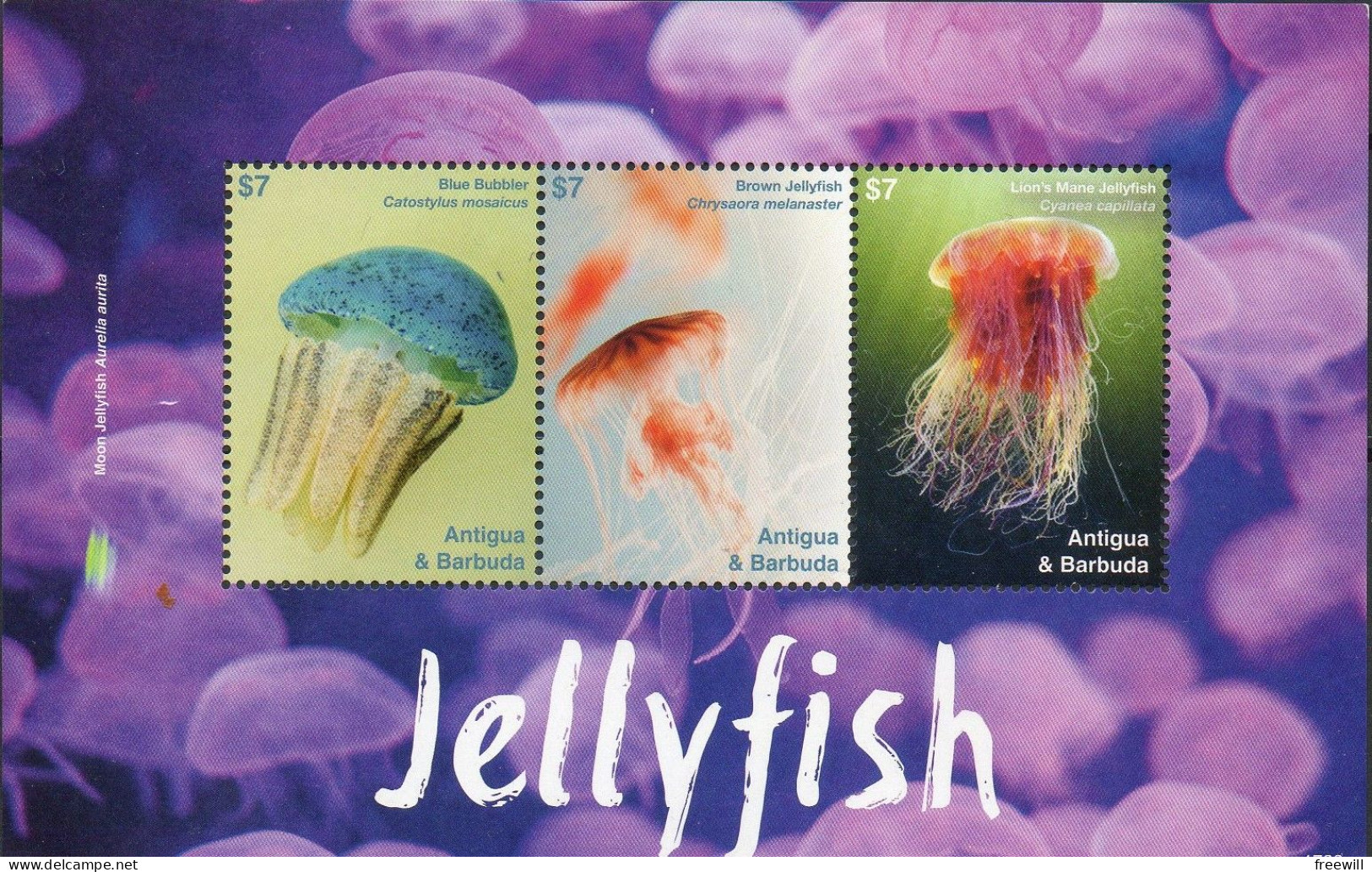 Jellyfish -Méduse 2017 XXX - Antigua Et Barbuda (1981-...)