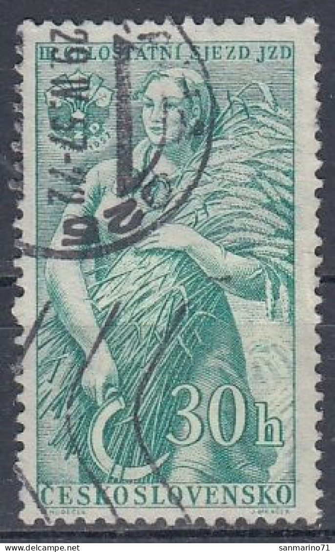 CZECHOSLOVAKIA 1008,used,falc Hinged - Used Stamps