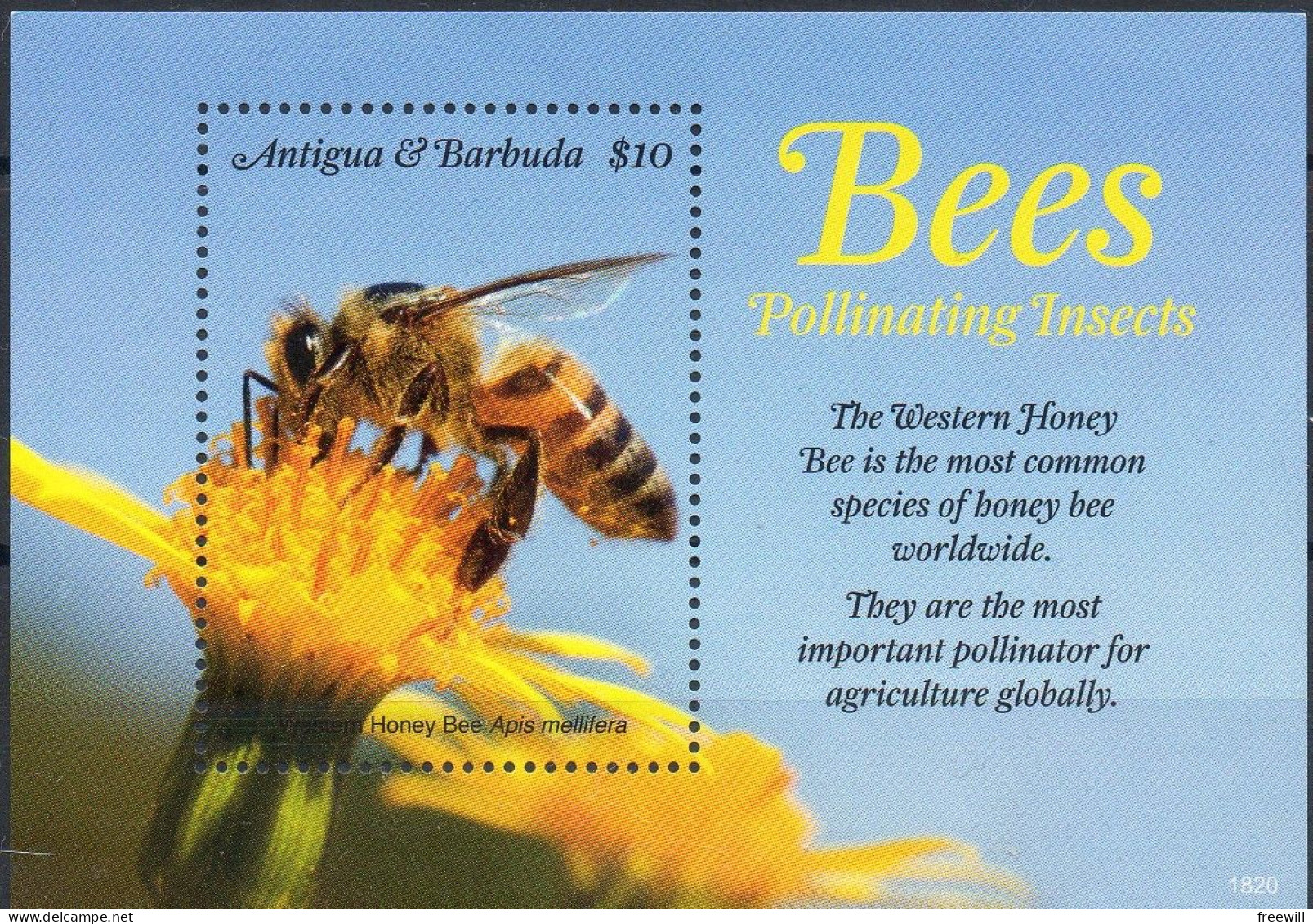 Antigua Y Barbuda 2018 MNH Abeilles -Bijen-Bees - Antigua Et Barbuda (1981-...)