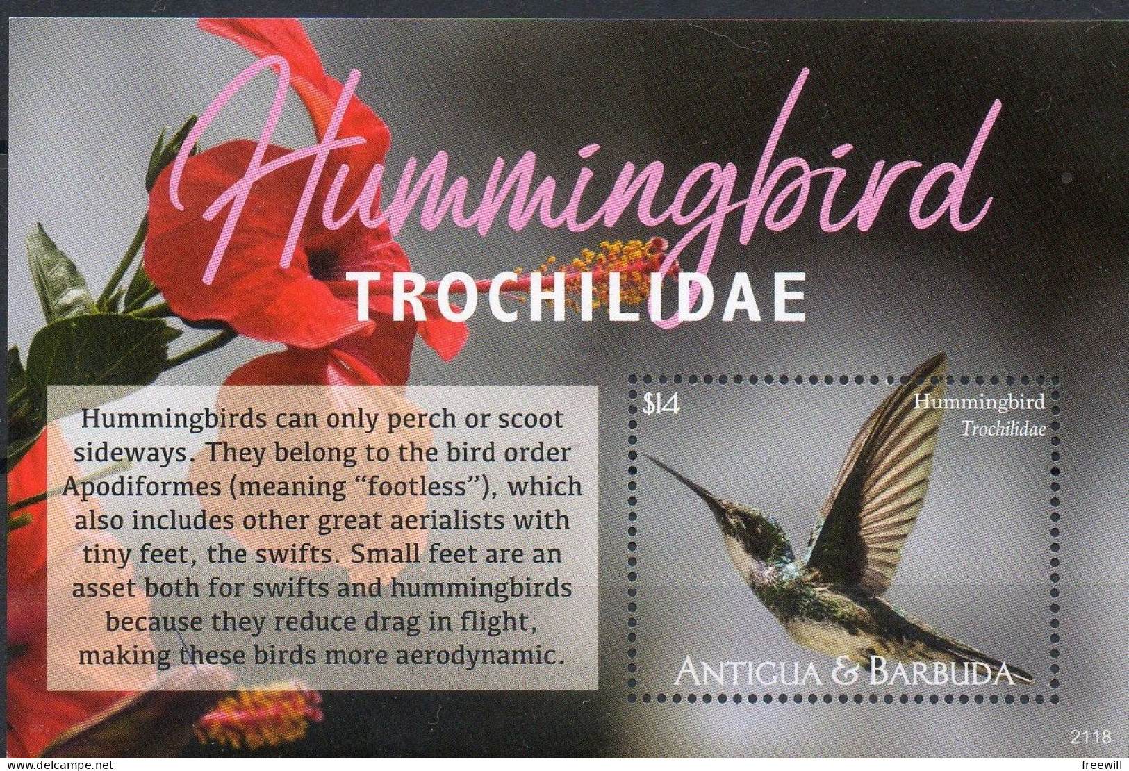 Antigua Y Barbuda 2021 MNHHummingbird- Oiseau Moqueur - Antigua Et Barbuda (1981-...)