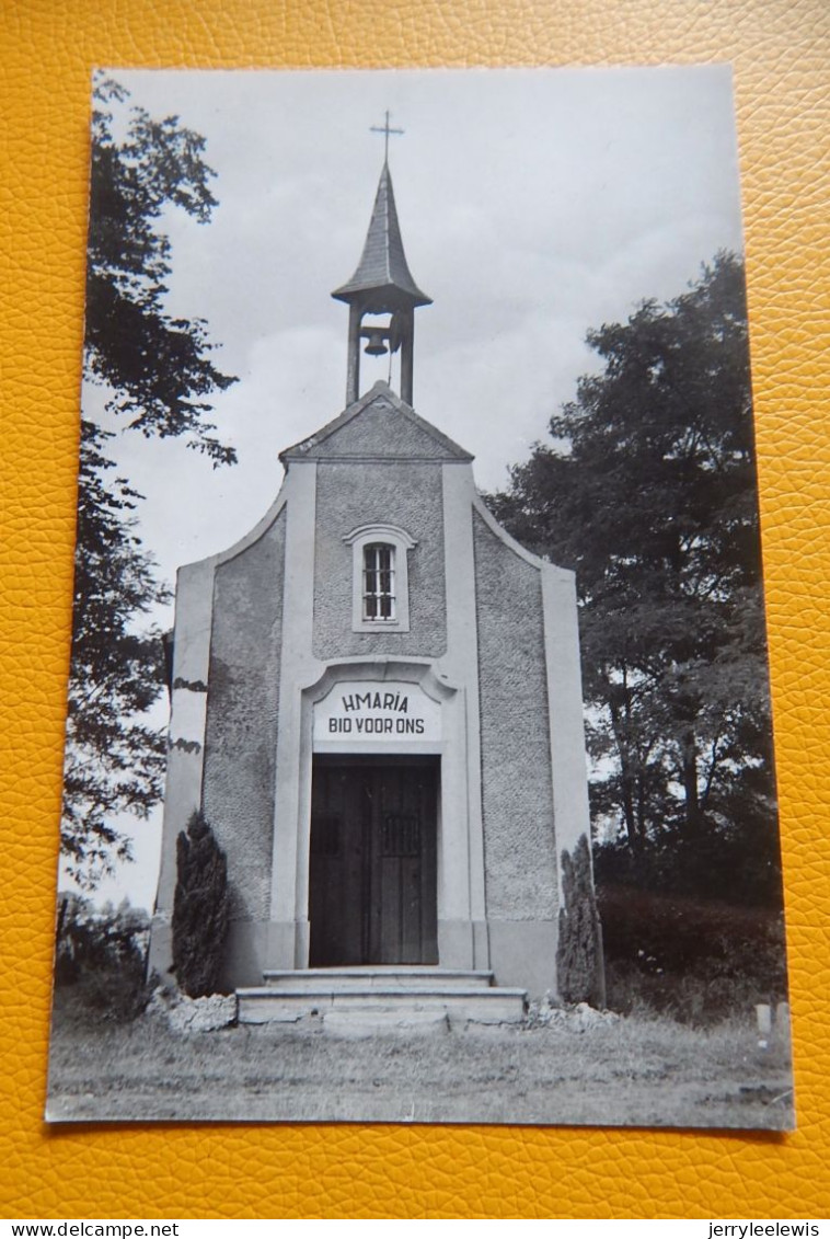 KALKEN  - Belinde Kapel - Grens Kalken-Laarne - Laarne