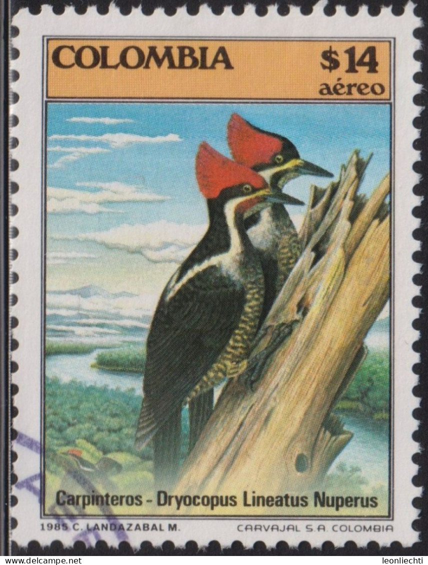 1985 Kolumbien AEREO ° Mi:CO 1650,Yt:CO PA738, Sg:CO 1724, Lt:CO 1674, Lineated Woodpecker (Dryocopus Lineatus Nuperus) - Kolumbien