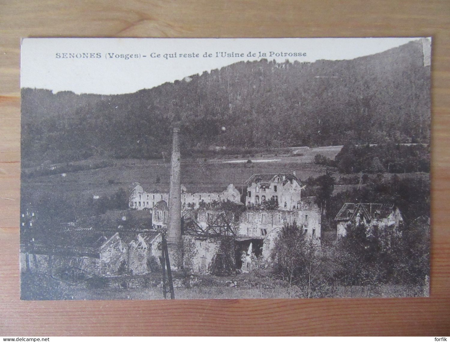 Senones (Vosges) - Ce Qui Reste De L'Usine De La Potrosse - Carte Non-circulée - Senones