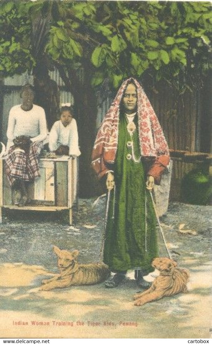 Maleisië, Penang, Indian Woman Training The Tiger Kids - Malaysia