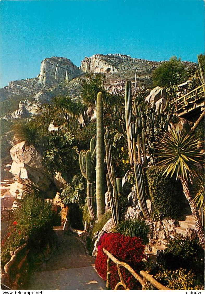 Fleurs - Plantes - Cactus - Principauté De Monaco - Le Jardin Exotique - Voir Timbre De Monaco - Flamme Postale De Monac - Cactussen