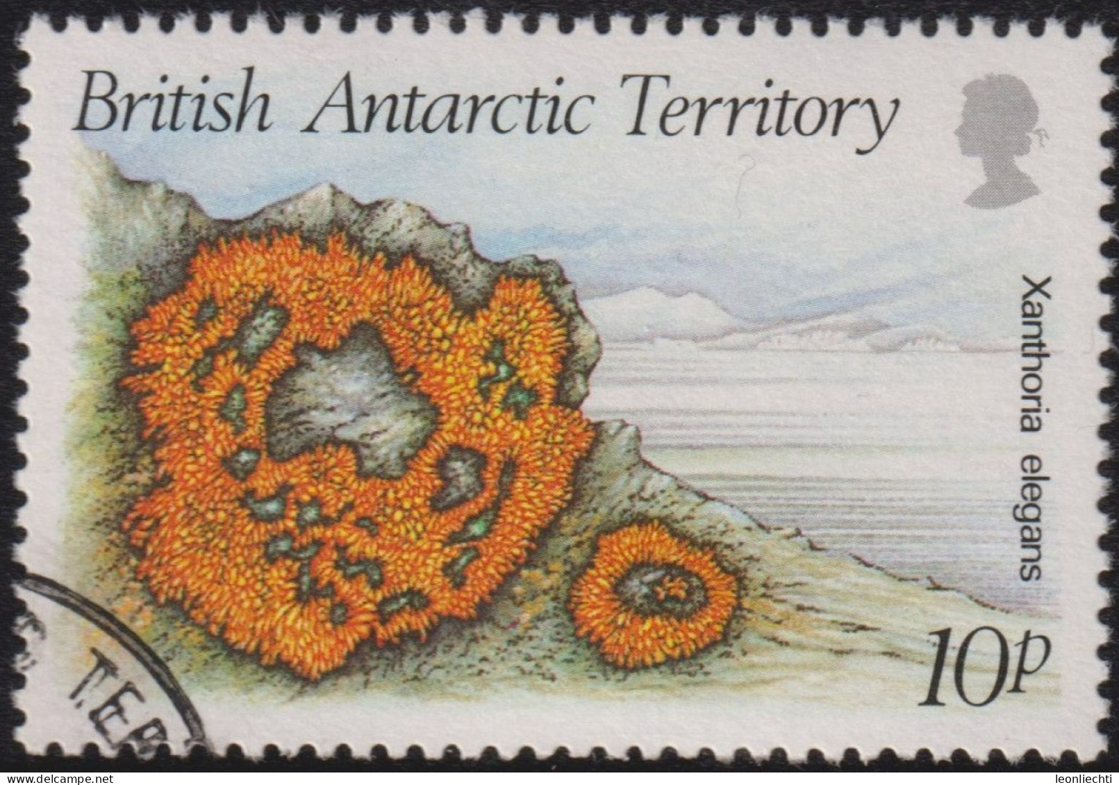 1989 Britisches Antarktis-Territorium ° Mi:GB-AT 152, Sn:GB-AT 149, Yt:GB-AT 172, Sg:GB-AT 167,Xanthoria Elegans - Gebraucht