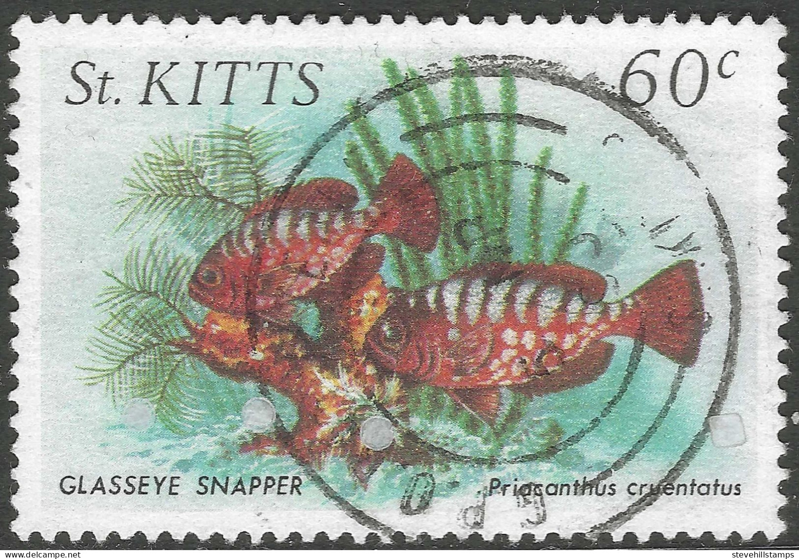 St Kitts. 1984 Marine Life. 60c Used. SG 151. M3135 - St.Kitts And Nevis ( 1983-...)