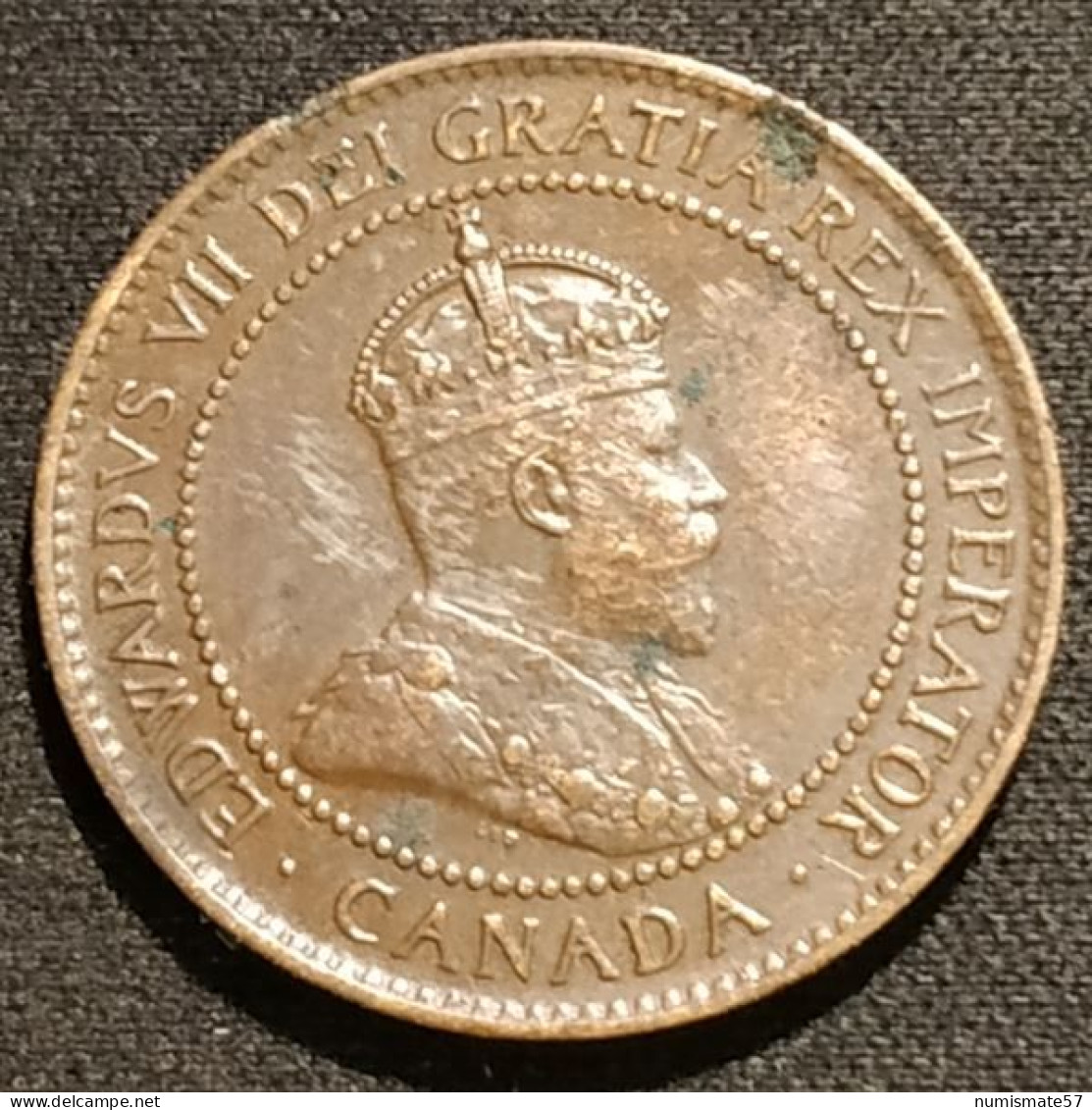 CANADA - 1 CENT 1903 - KM 8 - Edouard VII - Canada