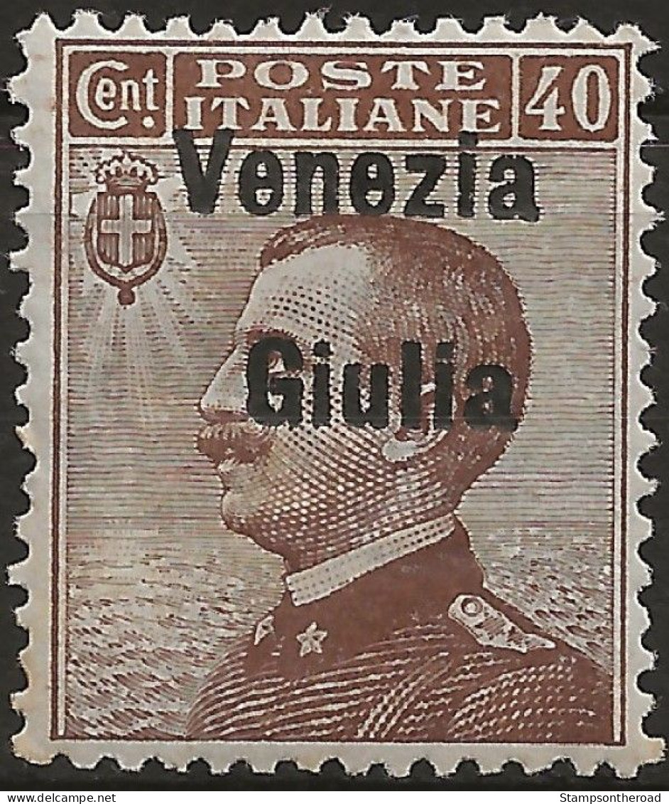 TRVG25L - 1918/19 Terre Redente - Venezia Giulia, Sassone Nr. 25, Francobollo Nuovo Con Traccia Di Linguella */ - Venezia Giulia