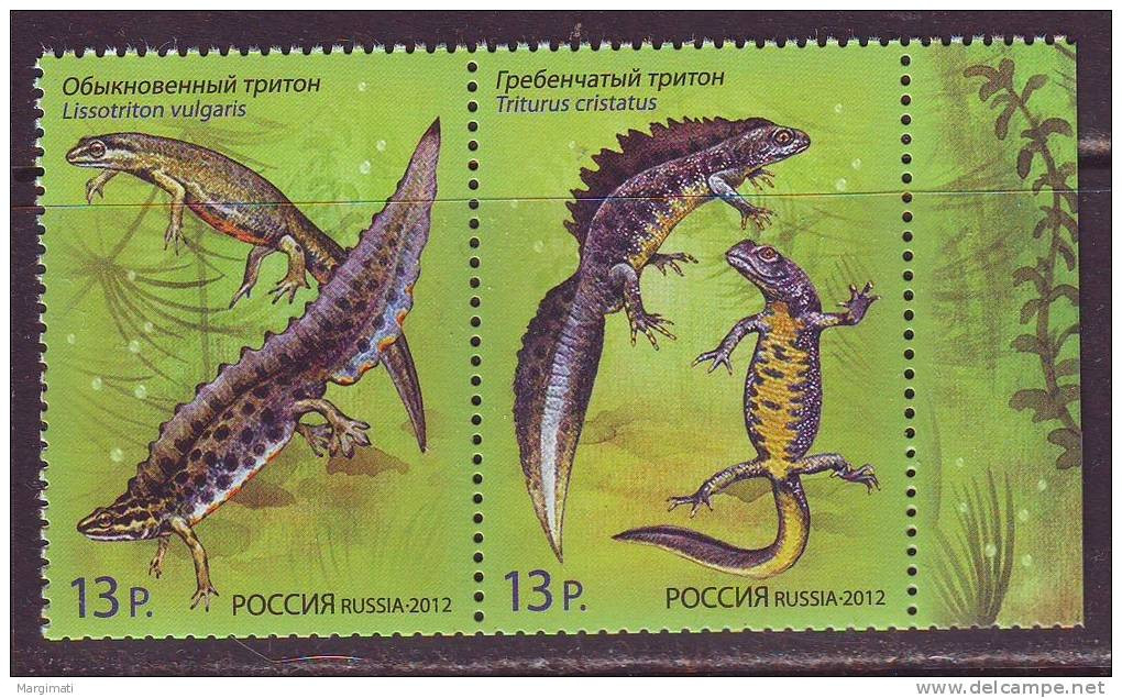 Russia 2012. Newts. Belarus-Russia Joint Issue. 2 W. Pf.** - Unused Stamps