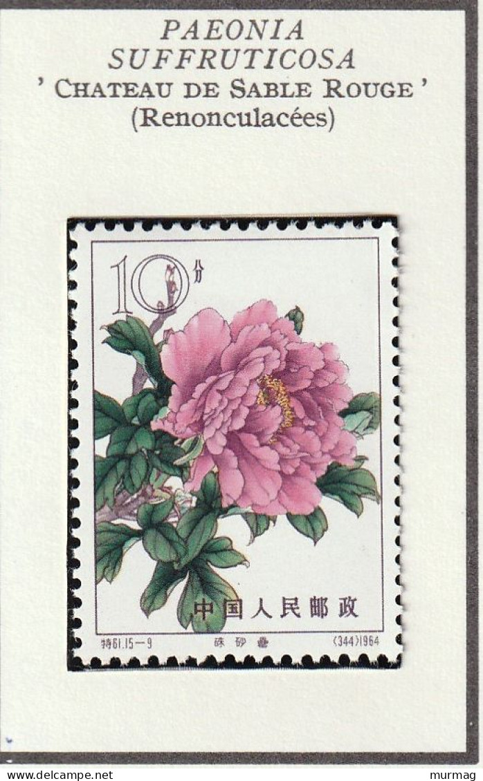 CHINE - Fleurs, Pivoines - Y&T N° 1560-1566 - 1964 - MNH - Nuevos