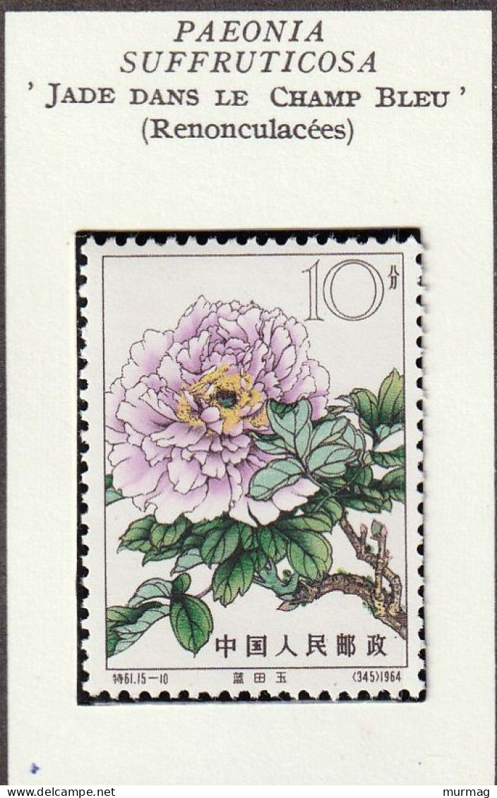 CHINE - Fleurs, Pivoines - Y&T N° 1560-1566 - 1964 - MNH - Unused Stamps