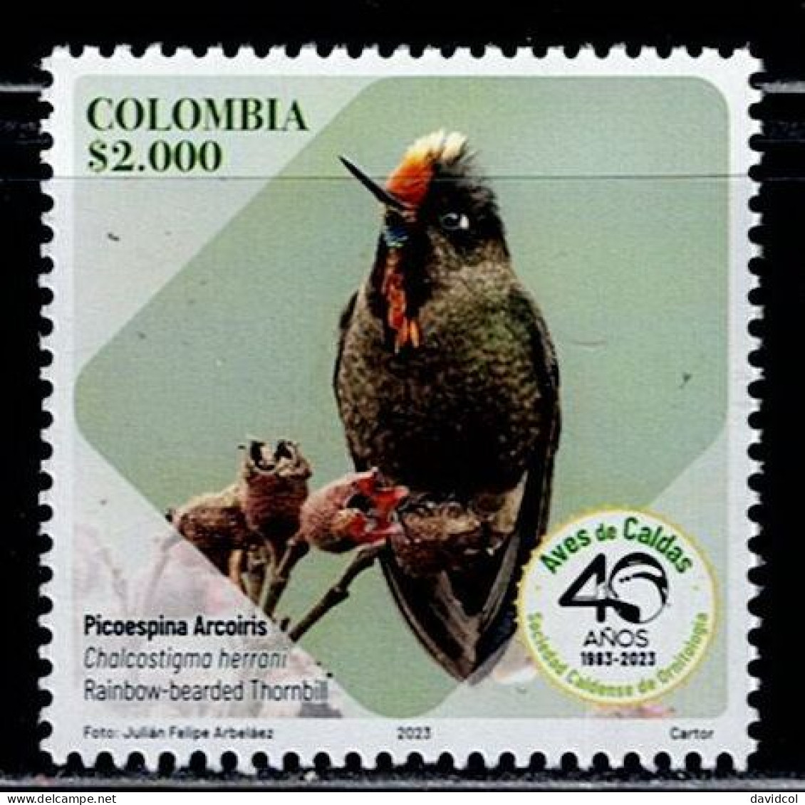 08F-KOLUMBIEN - 2023-MNH - RAINBOW-BEARDED THORNBILL - (CHALCOSTIGMA HERRANI)- REPRESENTATIVE BIRDS OF THE CALDAS DEPT. - Kolumbien