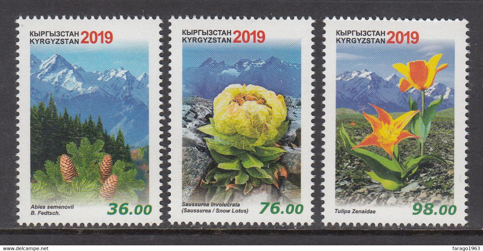 2019 Kyrgyzstan Mountain Flora Flowers Trees   Complete Set Of 3  MNH - Kirghizistan