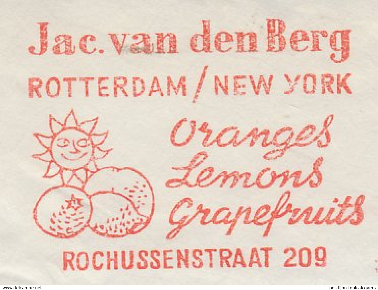 Meter Cut Netherlands 1965 Fruit - Oranges - Lemons - Grapefruits - Fruits