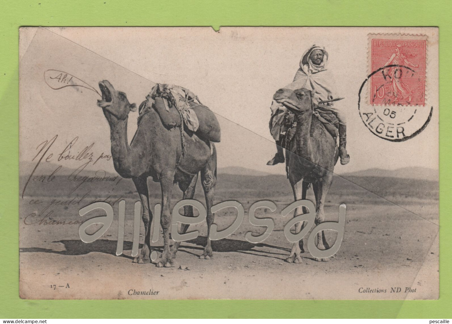 ALGERIE - CP ANIMEE  " CHAMELIER " - COLLECTION ND PHOT. N° 17_A - CIRCULEE EN 1905 / CHAMEAUX - Scènes & Types