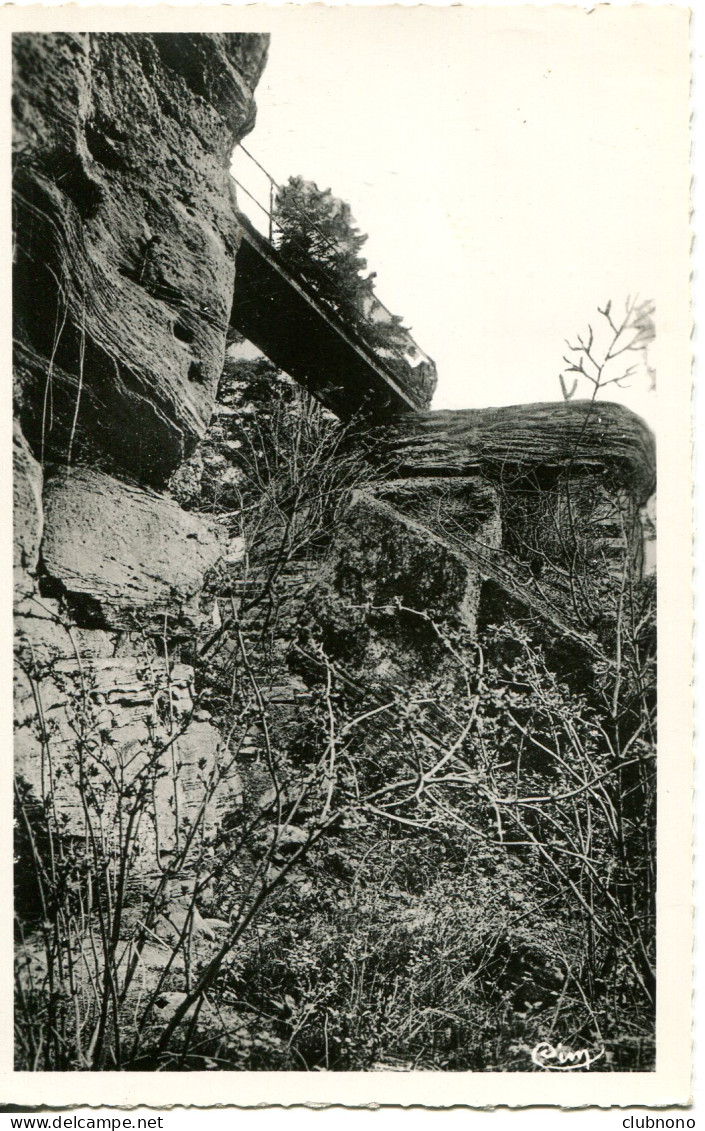 CPSM - SENONES - PASSERELLE - ROCHES DE LA MERE HENRI  (IMPECCABLE) - Senones