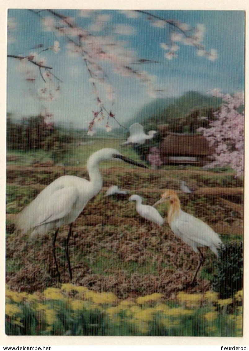 - M57123CPM - FANTAISIES - Herons And Cherries (cerisiers) - Stereo - Relief - 3D - Visiorelief - Très Bon état - THEME - Cartoline Stereoscopiche