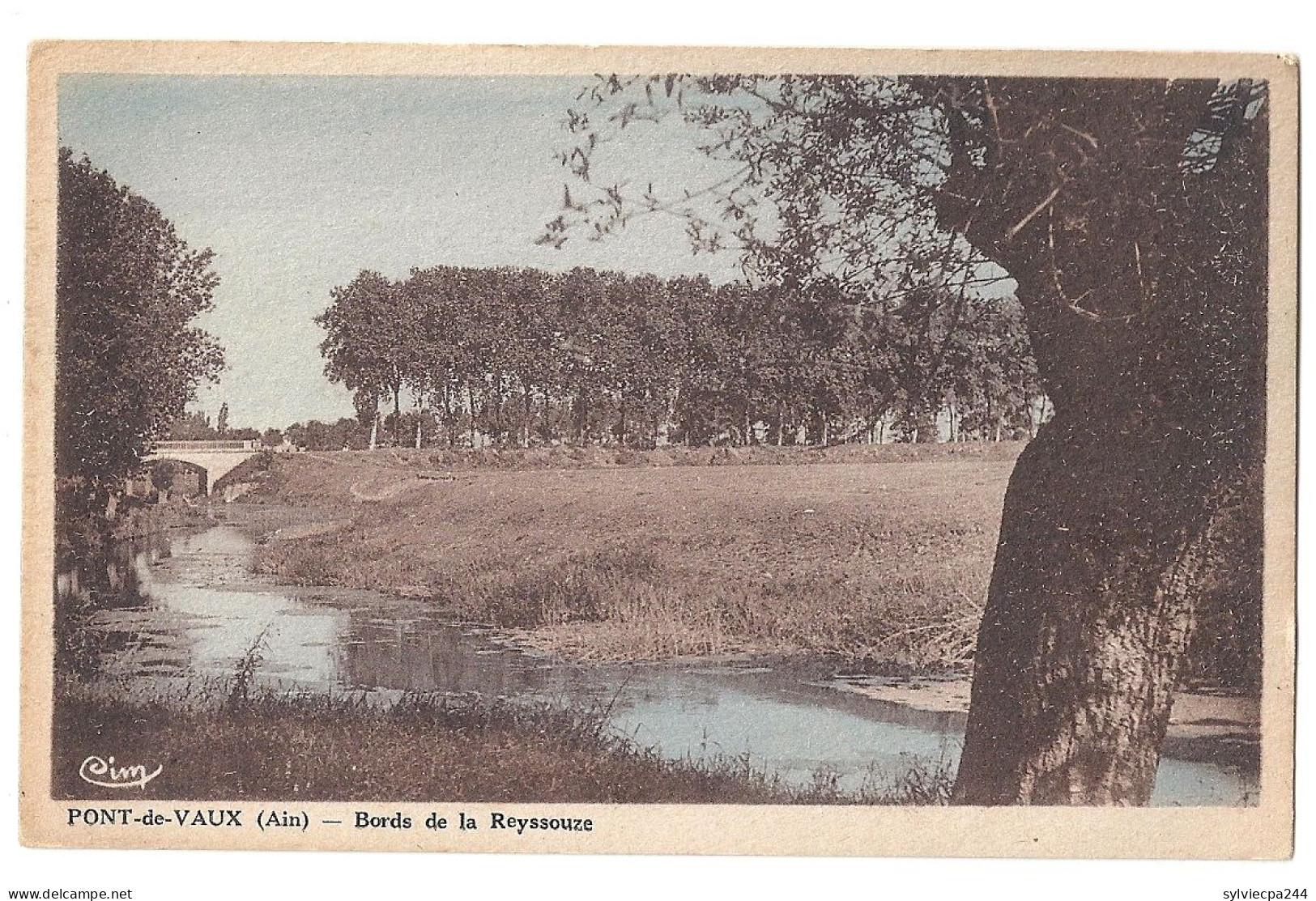 CPA 01 PONT DE VAUX - BORDS DE LA REYSSOUZE - Pont-de-Vaux