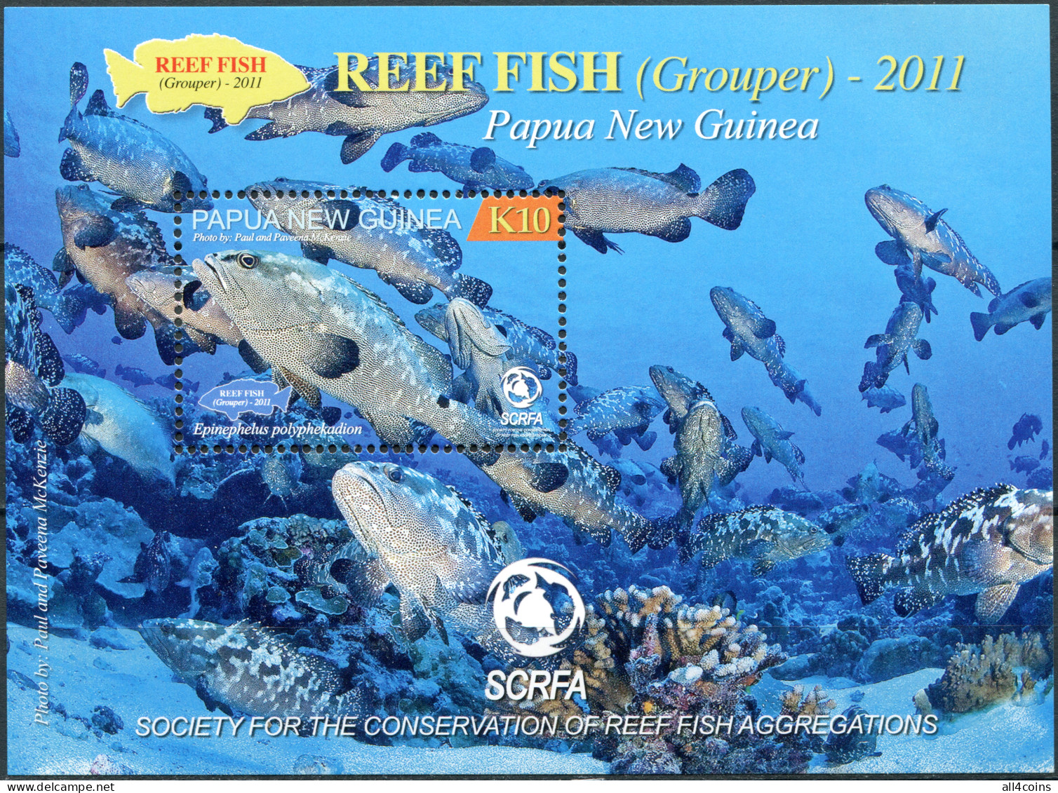 Papua New Guinea 2011. Reef Fish. Grouper (MNH OG) Souvenir Sheet - Papua New Guinea