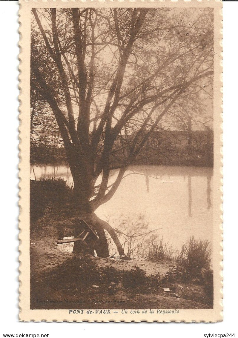 CPA 01 PONT DE VAUX - LES BORDS DE LA REYSSOUZE - Pont-de-Vaux