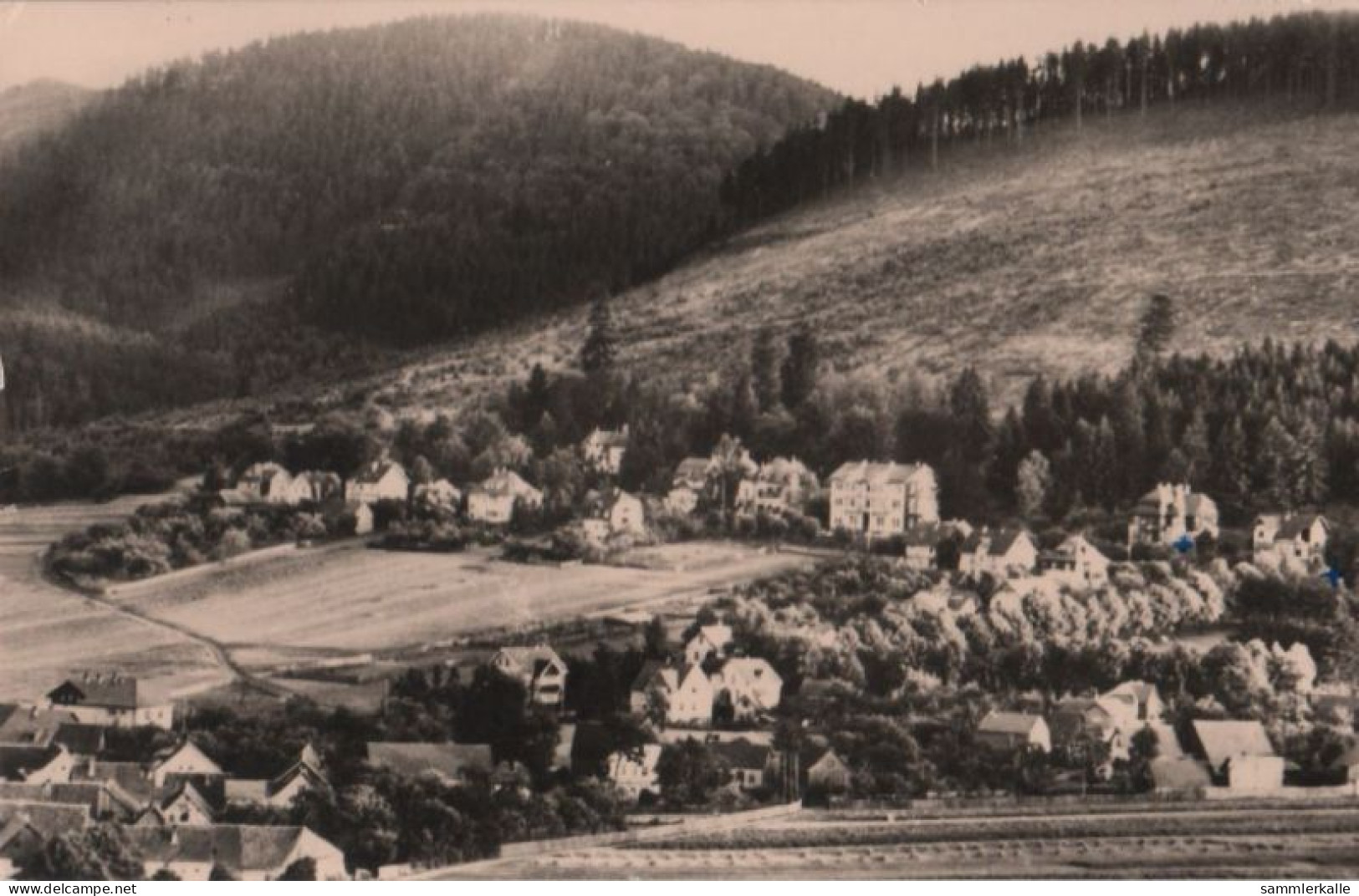 60022 - Tabarz - Villen Am Datenberg - Ca. 1965 - Tabarz