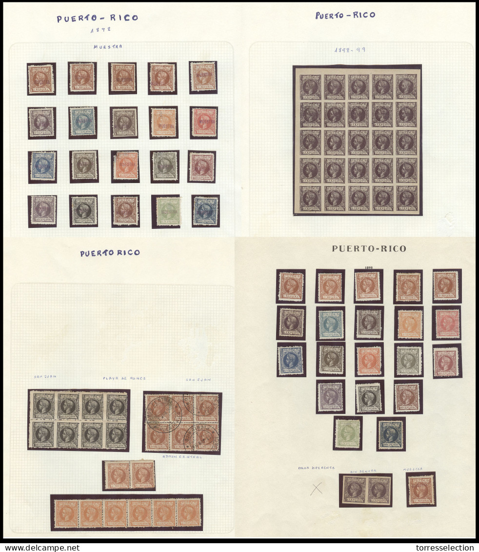 PUERTO RICO. 1898-9. Ultima Serie Periodo Español. Conjunto Espezializado Montado En 4 Hojas De Exhibicion Incluyendo Se - Porto Rico