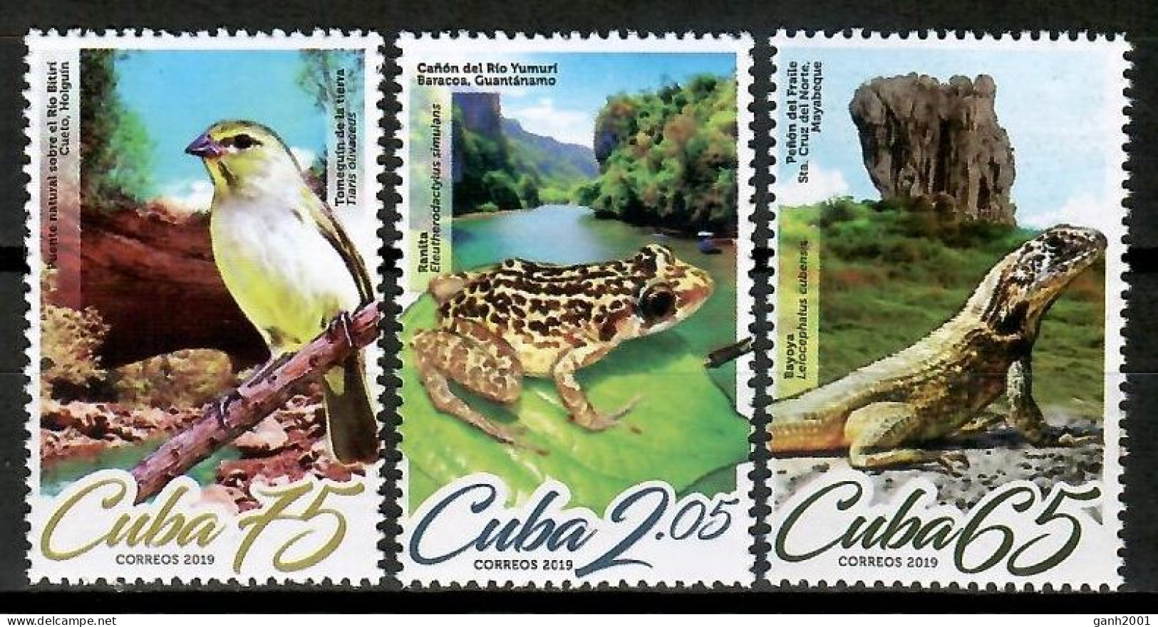 Cuba 2019 / Birds Reptiles Frog MNH Aves Rana Vögel Frosch / Cu14701  C4-6 - Grenouilles