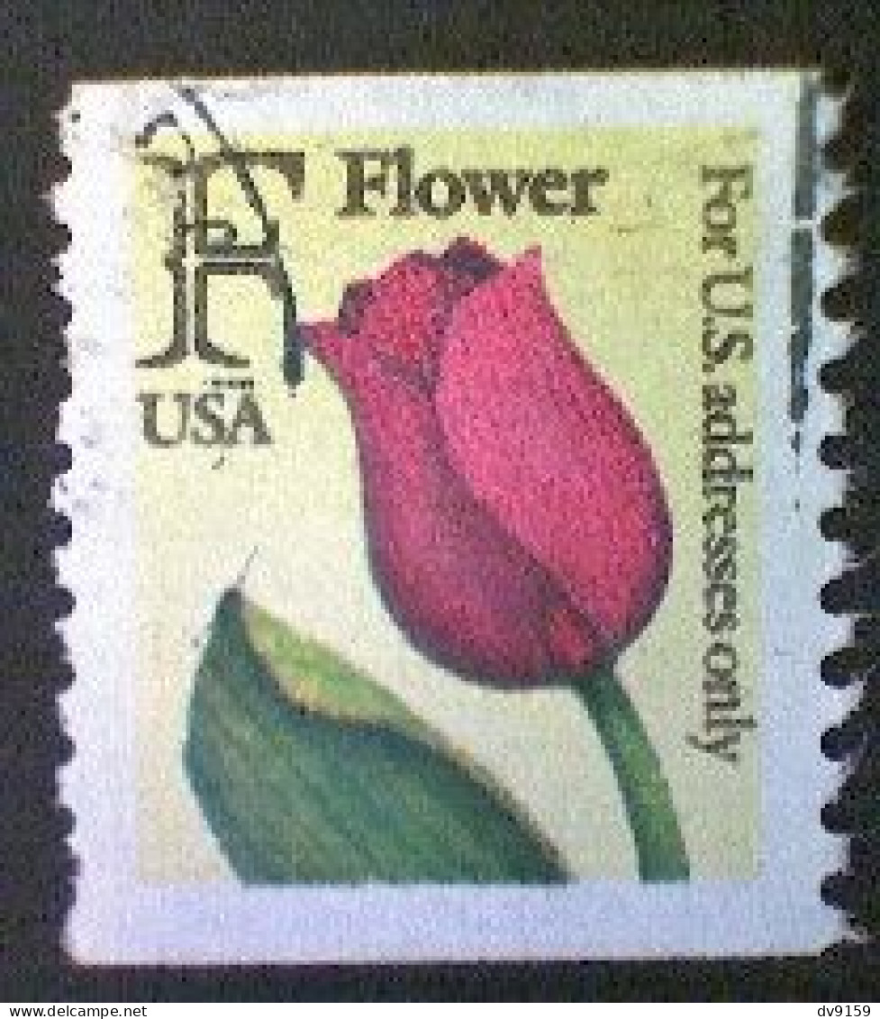 United States, Scott #2518, Used(o) Coil, 1991, Rate Change "F" Tulip , (29¢) - Gebraucht