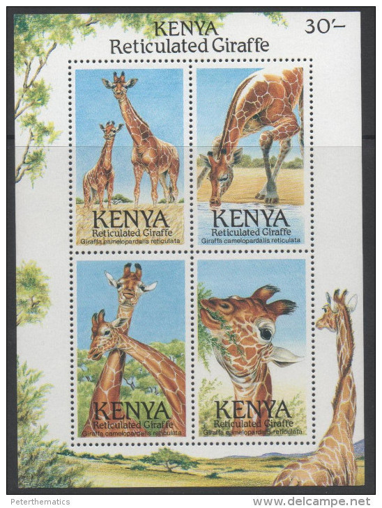 KENYA ,1989, MNH, GIRAFFES, SHEETLET - Jirafas