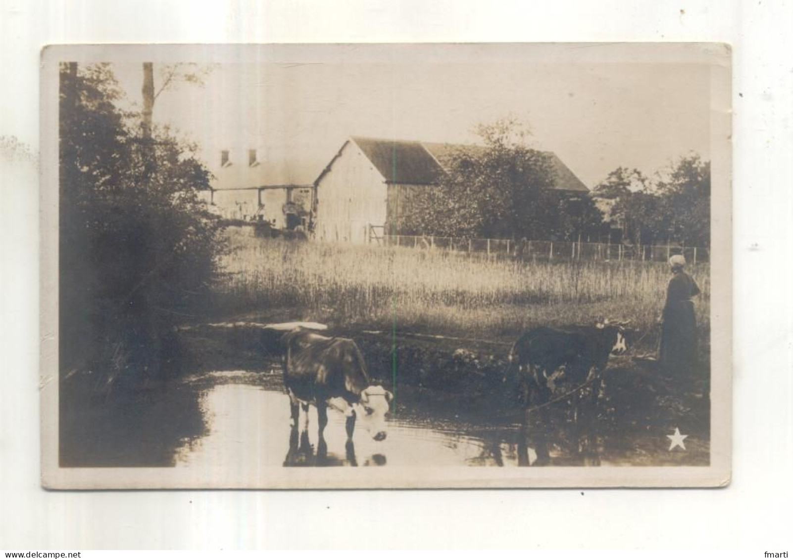 Carte Photo : Ferme, Mare - Da Identificare