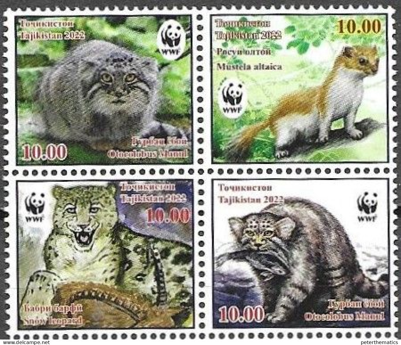 TAJIKISTAN, 2022, MNH,  WWF, FAUNA, FELINES, MANUL, WILD CATS, FISH, 4v - Neufs