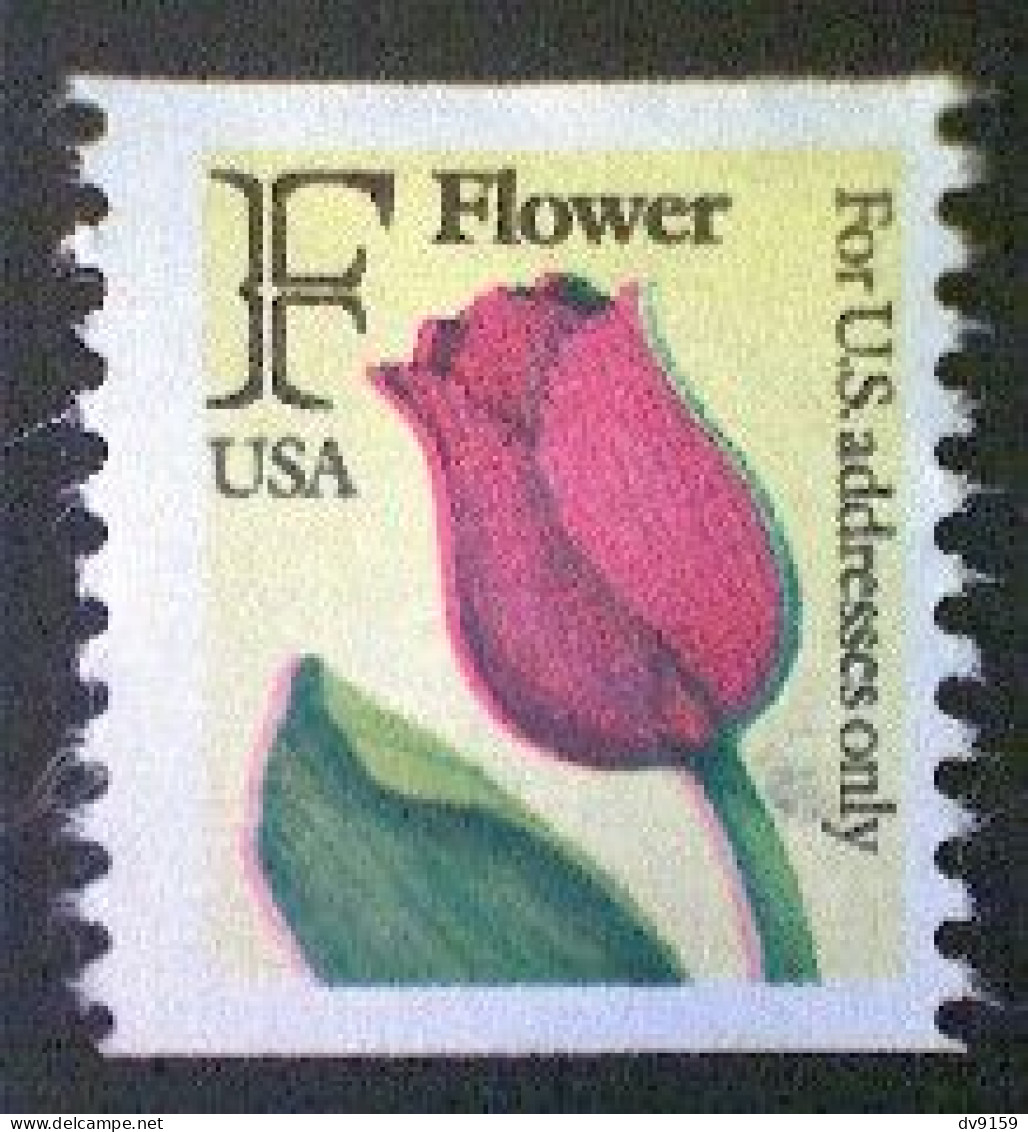 United States, Scott #2518, Used(o) Coil, 1991, Rate Change "F" Tulip , (29¢) - Usados