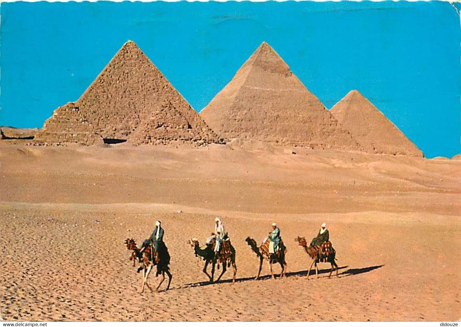 Egypte - Gizeh - Giza - Camel Caravan Near The Giza Pyramids - Caravanne De Chameaux Près Des Pyramides - Chamelier - Ch - Guiza