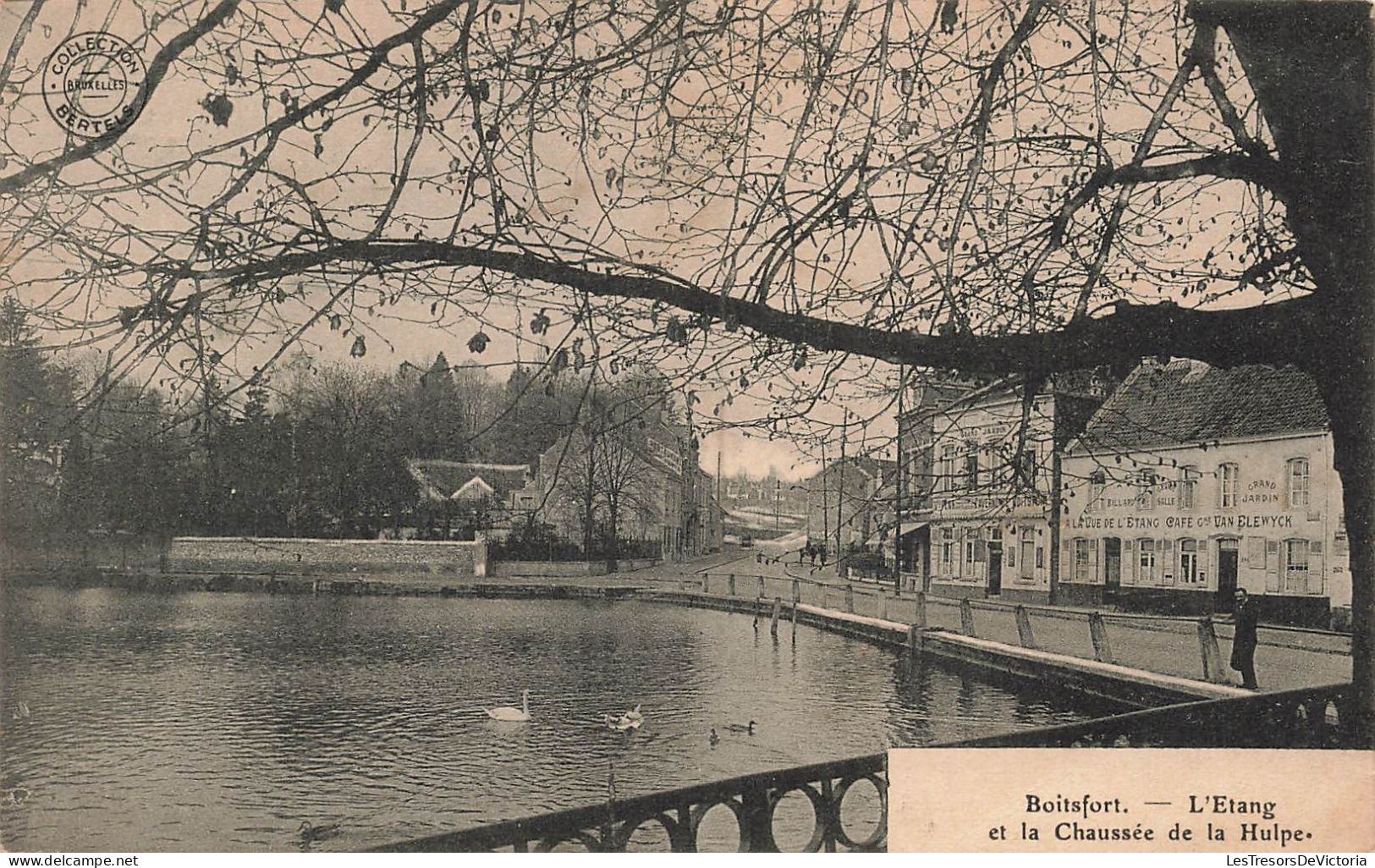 BELGIQUE - Boitsfort - Vue Sur L'étang Et La Chaussée De La Hulpe - Carte Postale Ancienne - Watermaal-Bosvoorde - Watermael-Boitsfort