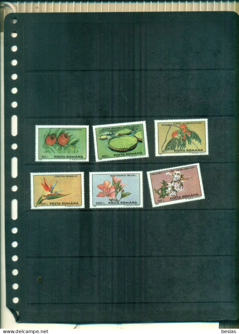 ROUMANIE PLANTES DU JARDIN BOTANIQUE DE BUCAREST 6 VAL  NEUF A PARTIR DE 0.75 EUROS - Unused Stamps