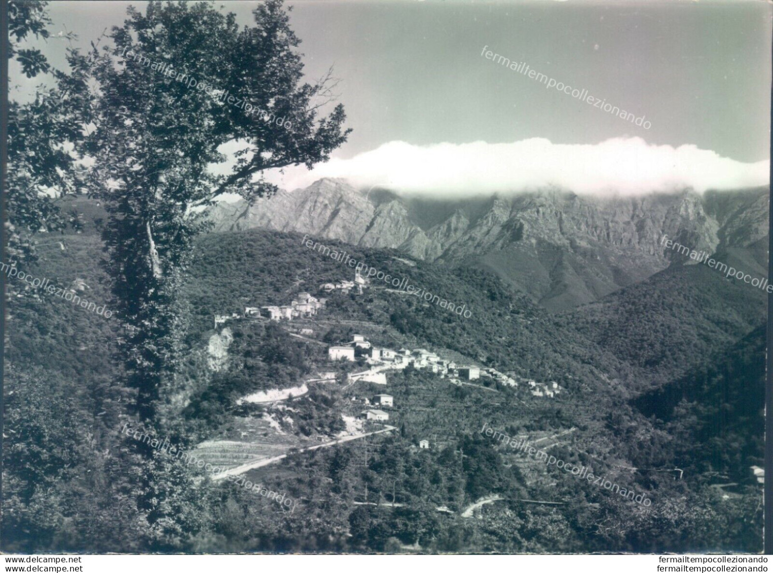 A561 - Rocca Sigillina-massa Carrara -bozza Fotografica - Massa