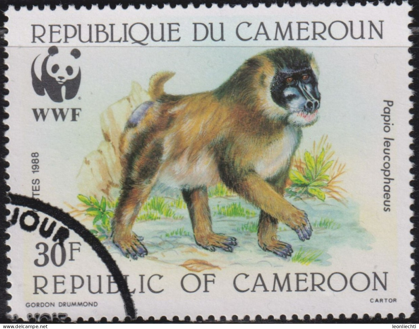 1988 Kamerun ° Mi:CM 1155, Sn:CM 843, Yt:CM 822, Sg:CM 1115,Drill (Mandrillus Leucophalus), World Wildlife Fund (WWF) - Kamerun (1960-...)