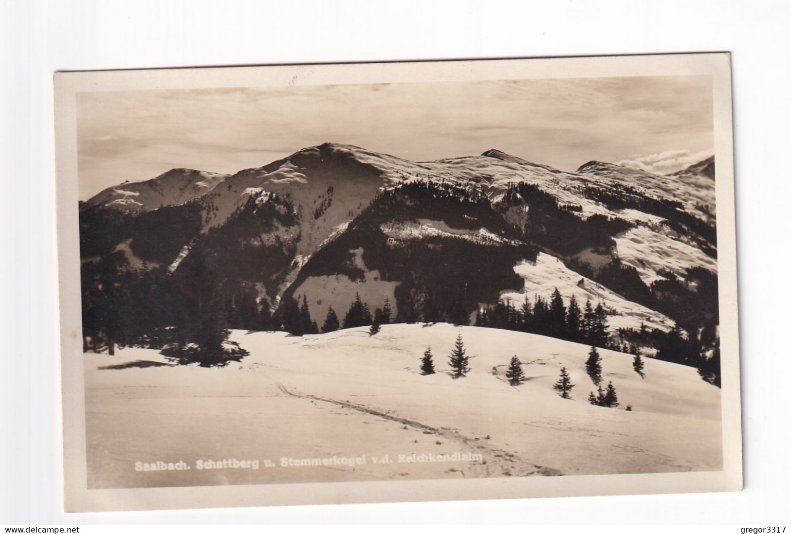 E5831) SAALBACH - SCHATTBERG U. STEMMERKOGEL V., D. Reichkendlalm - Saalbach