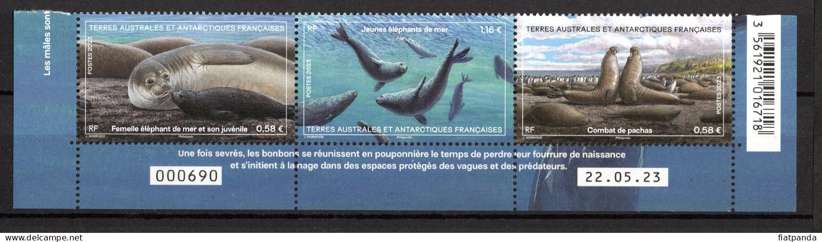 TAAF 2023 Triptyque Elephants De Mer N° 1046/1048 Neuf Sans Charnière - Nuevos