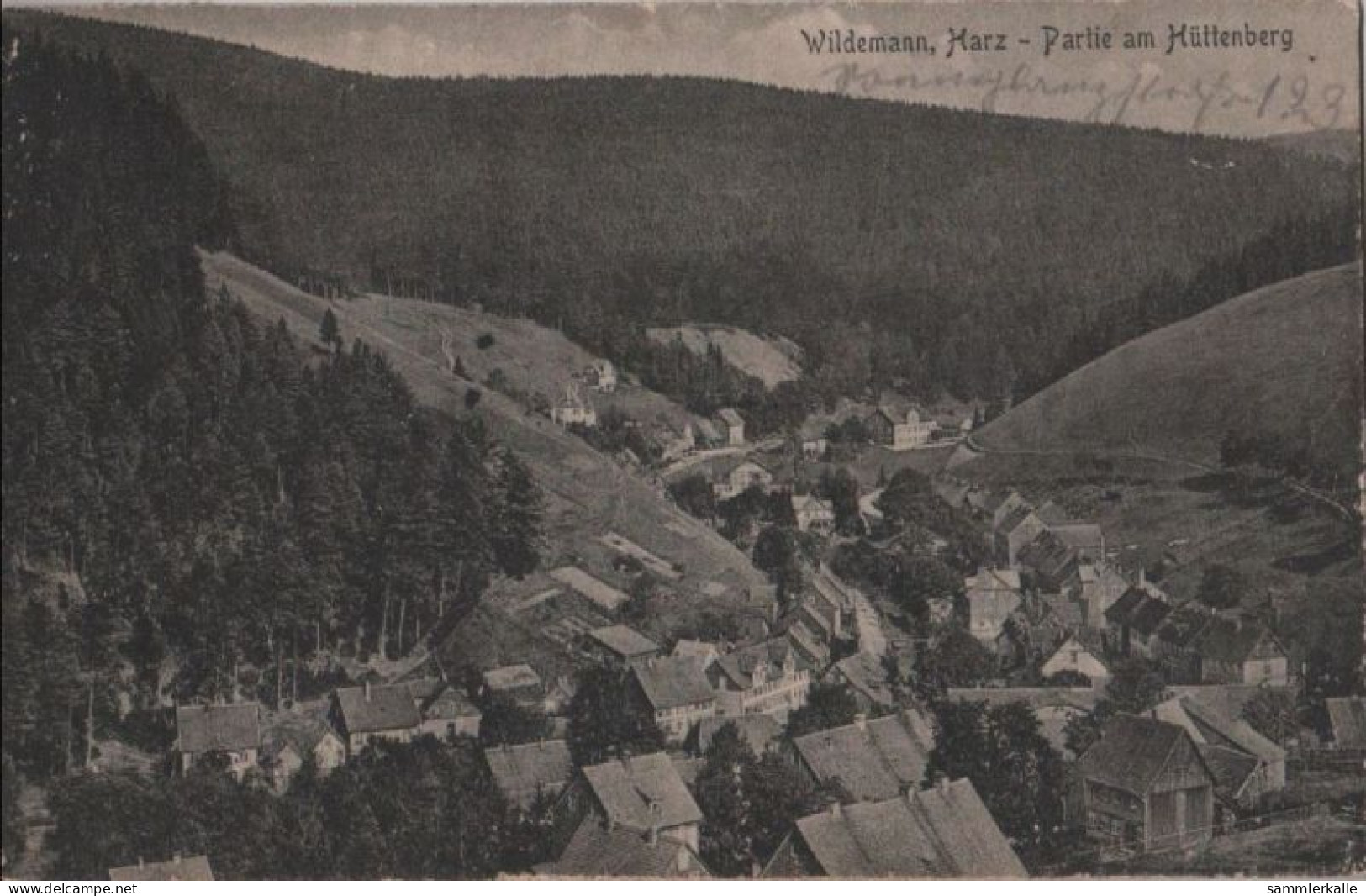 61059 - Wildemann - Partie Am Hüttenberg - 1922 - Wildemann