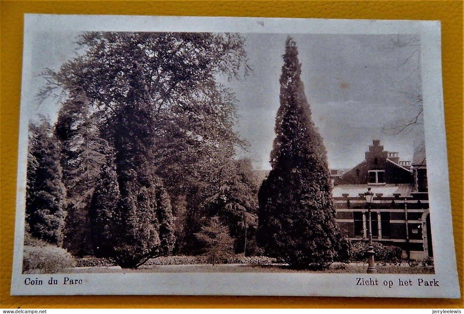 SINT-NIKLAAS  - 4 KAARTEN : Présentation Notre-Dame  - Park En Panorama, Zicht Op Het Park , Ingang Van Het Park, Serre - Sint-Niklaas