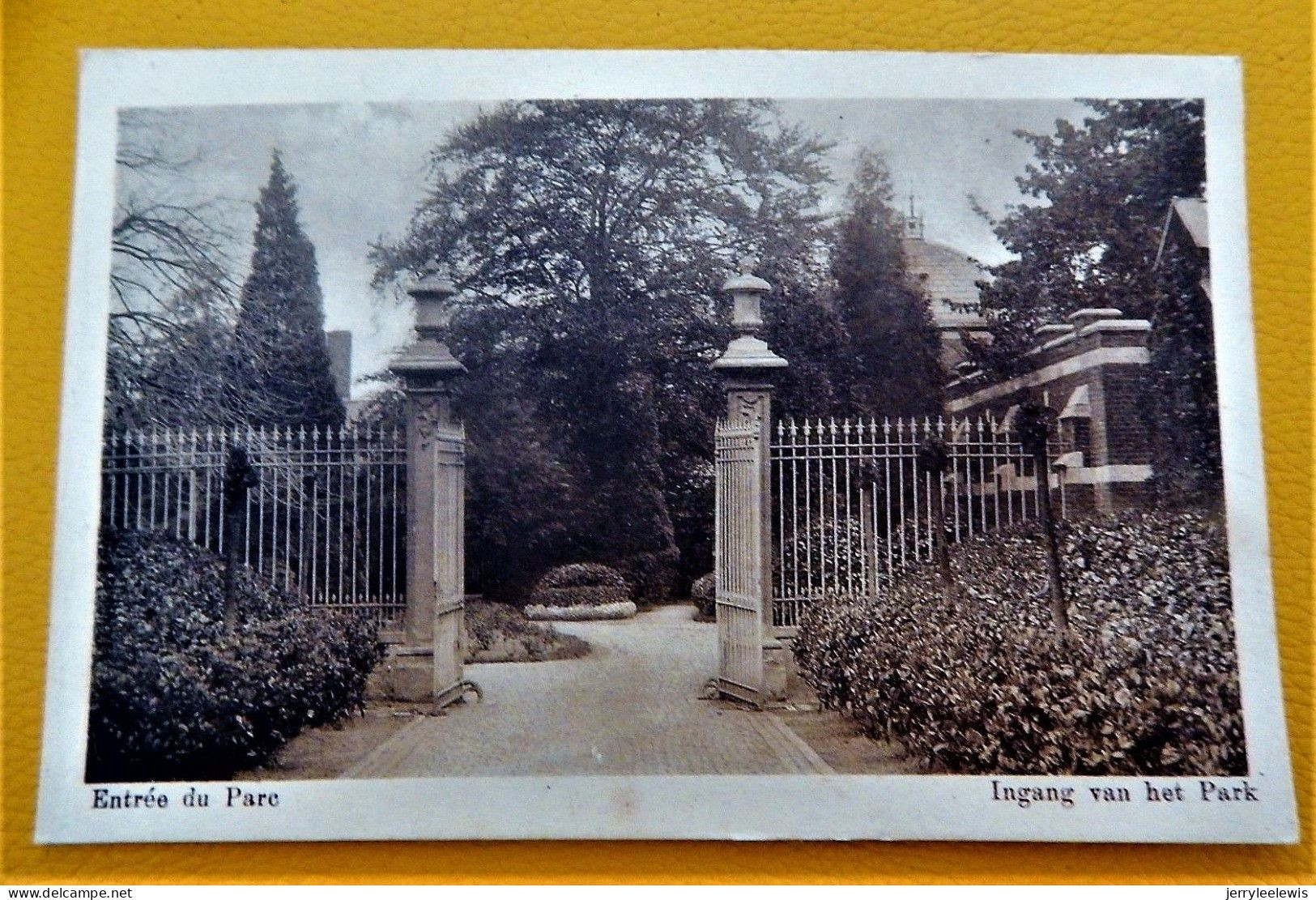 SINT-NIKLAAS  - 4 KAARTEN : Présentation Notre-Dame  - Park En Panorama, Zicht Op Het Park , Ingang Van Het Park, Serre - Sint-Niklaas