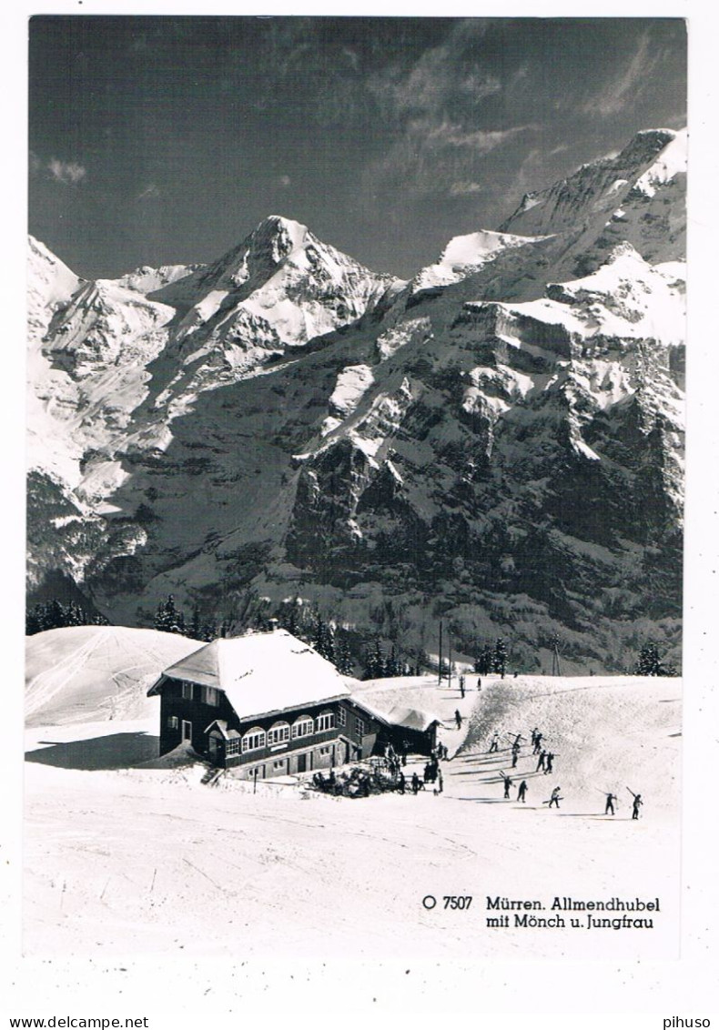 CH-8427  MÜRREN : Allmendhubel - Mürren