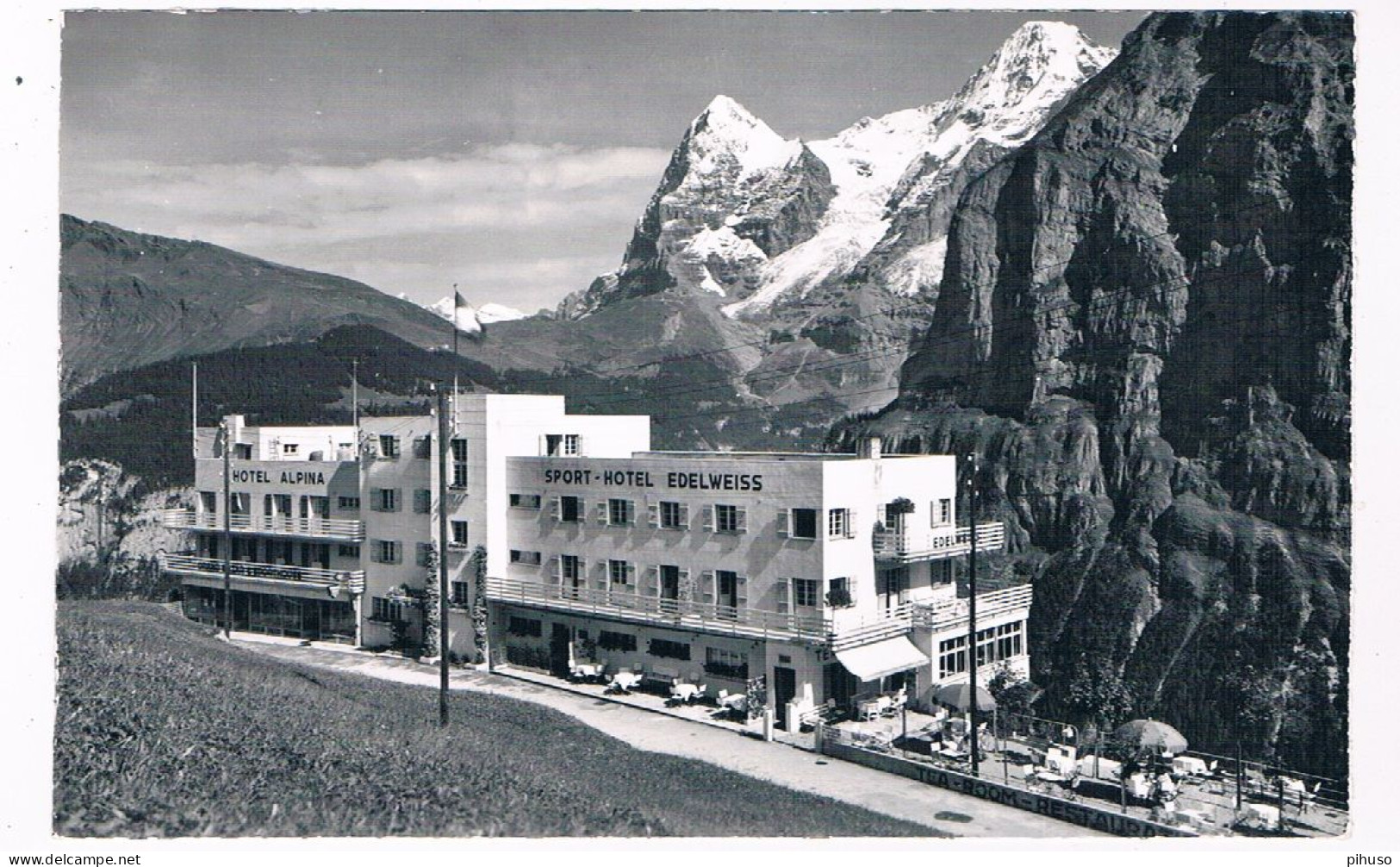 CH-8431  MÜRREN : Hotel Edelweiss U. Hotel Alpina ( E. Gyger 4533 ) - Mürren