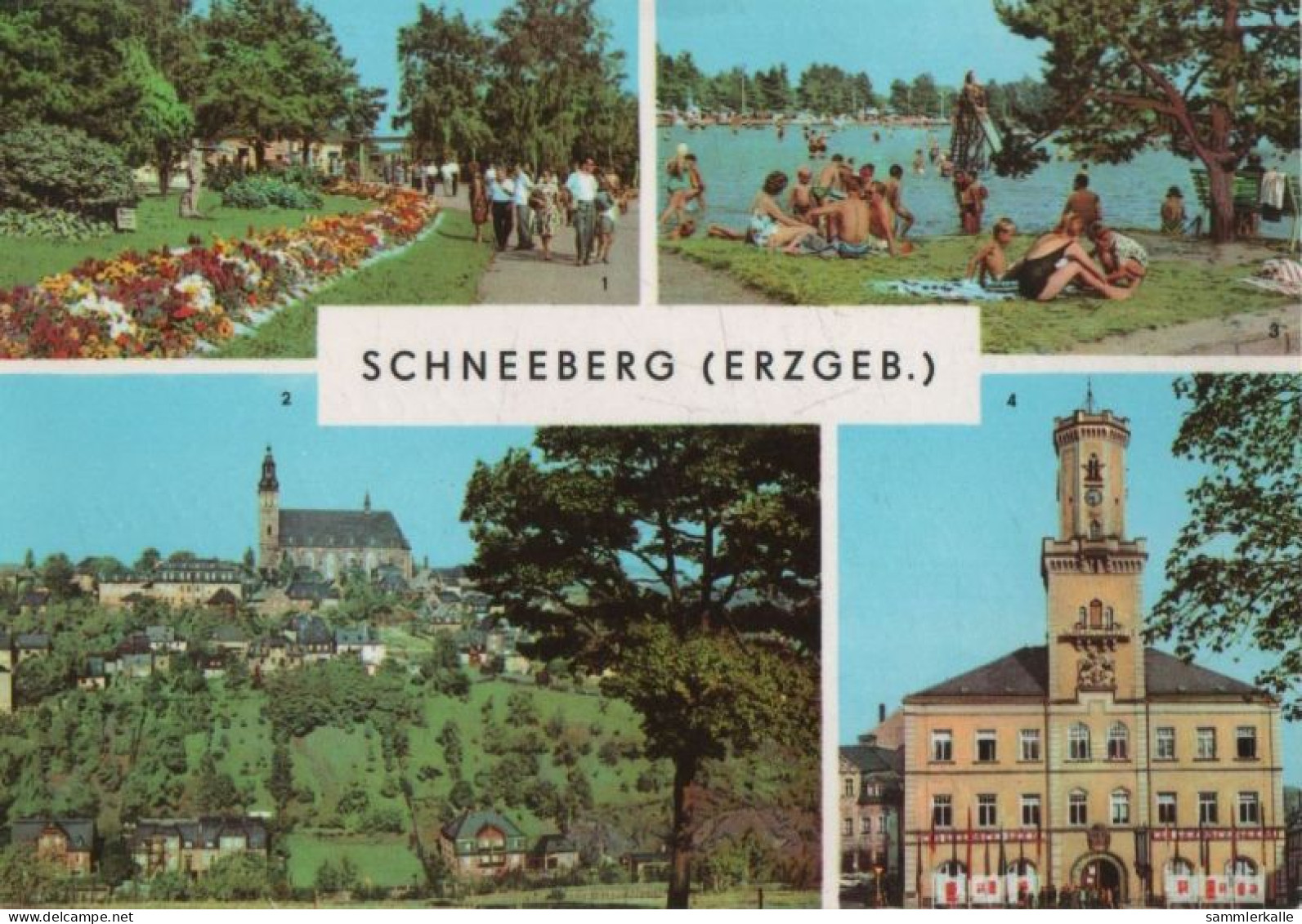 104717 - Schneeberg - U.a. Filzteich - 1972 - Schneeberg